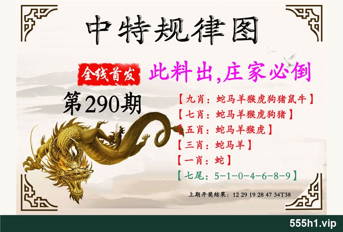 彩色图纸 · 中特规律图配图，标注 555h1.vip