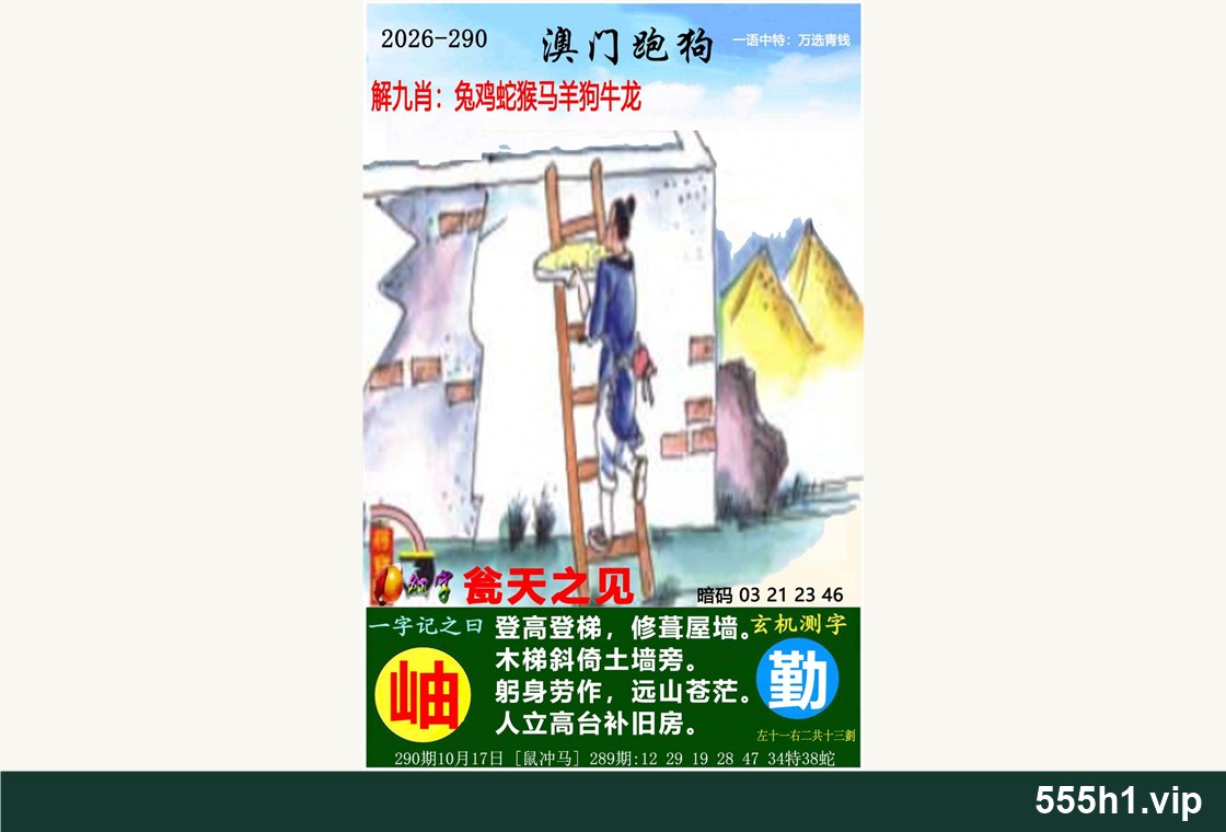 彩色图纸 · 澳门跑狗图配图，标注 555h1.vip