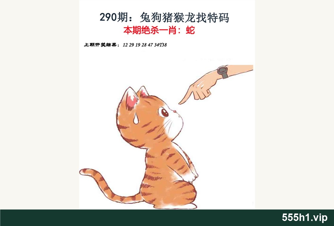 彩色图纸 · 金钱豹自有真功夫第一版配图，标注 555h1.vip