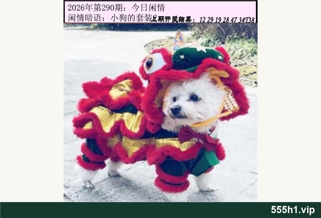 彩色图纸 · 今日闲情A配图，标注 555h1.vip
