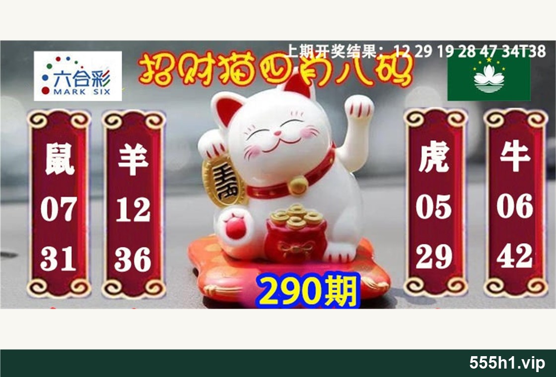 彩色图纸 · 招财猫四肖八码配图，标注 555h1.vip