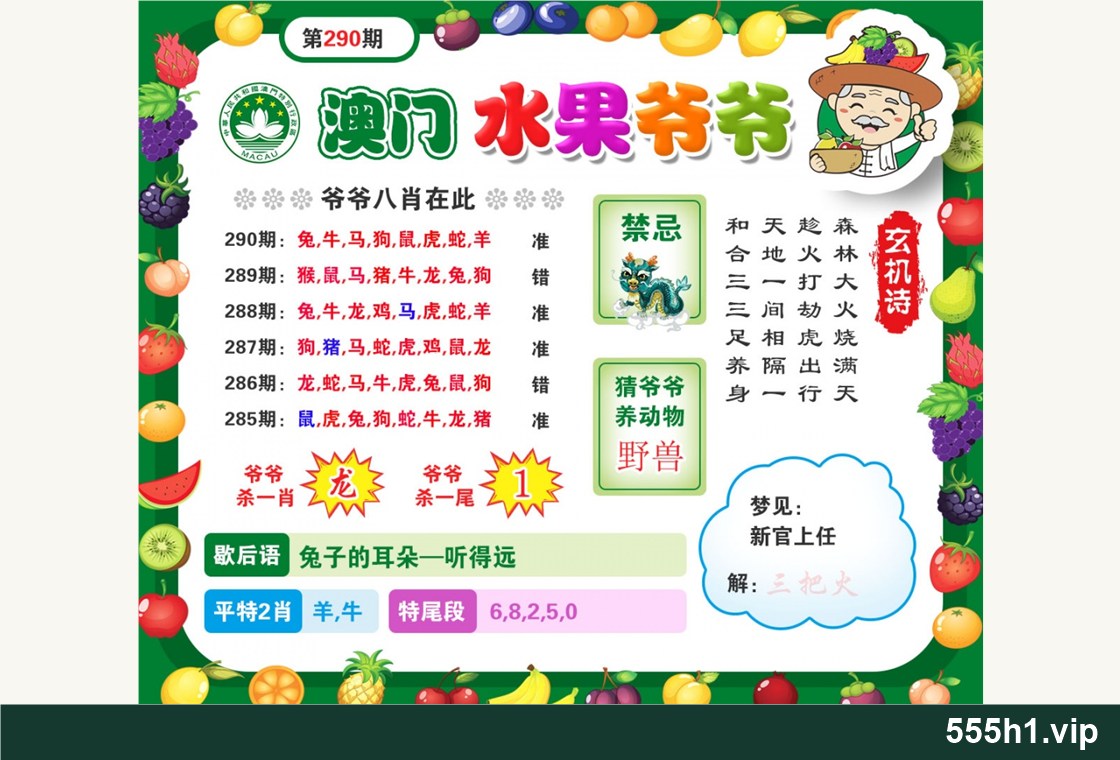 彩色图纸 · 水果爷爷配图，标注 555h1.vip